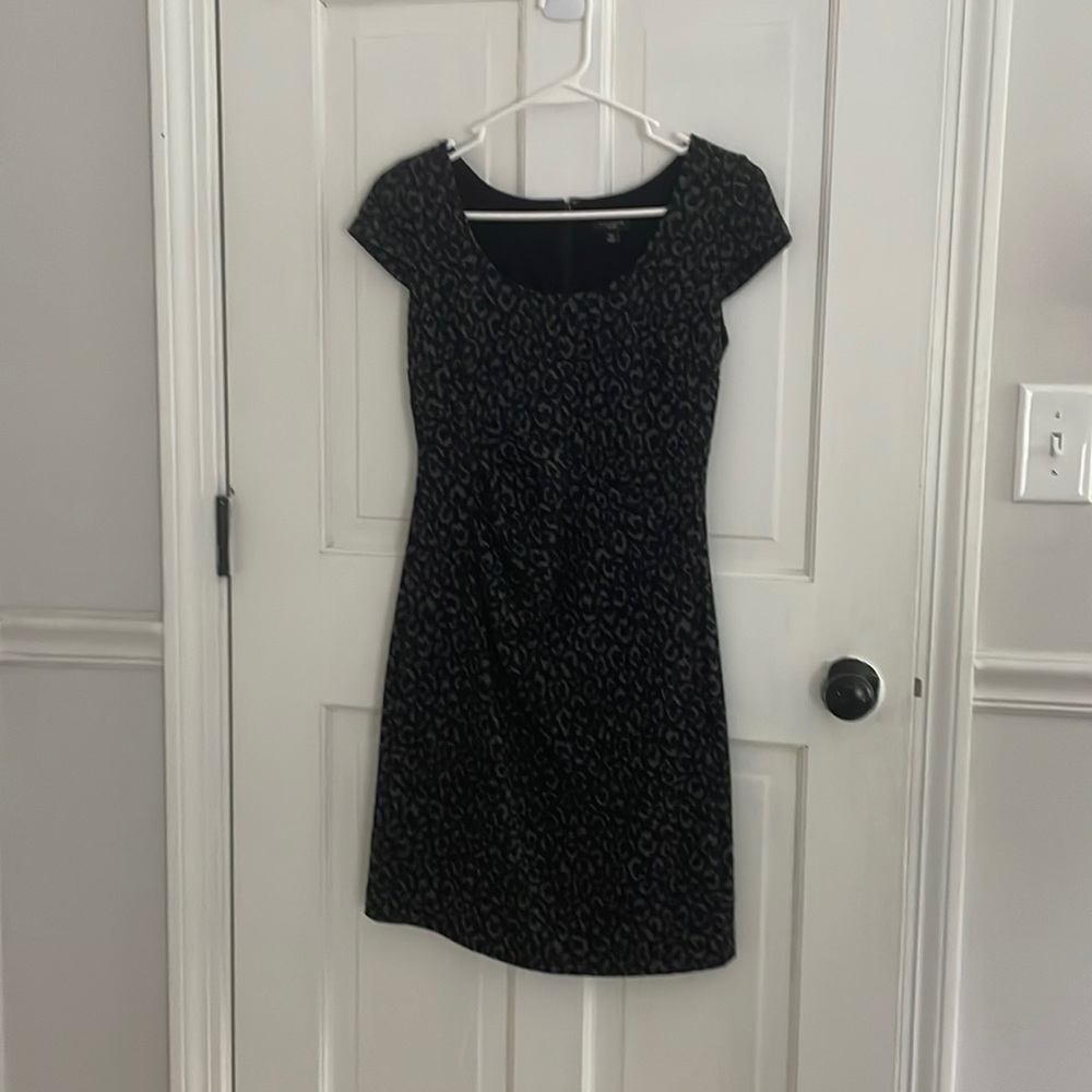 ann taylor 0p